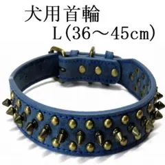 Item thumbnail for item e9412333-7899-4520-b091-da50ea15a7ef