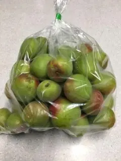 らんらんらん様専用