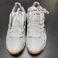 ASICSスポーツ(室内用)シューズ ホワイト レッド 25.0cmのサムネイル