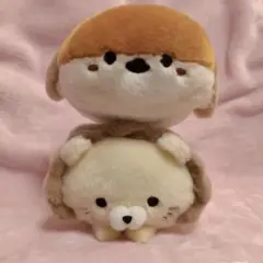 ころころらいふ すずめ ライオン ぬいぐるみ セット