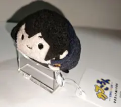 2026年最新】囚われのパルマ ぬいぐるみの人気アイテム - メルカリ