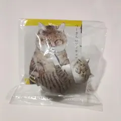 俺、つしま キタンクラブ　ガチャ　つーさんのフィギュアコレクション　猫