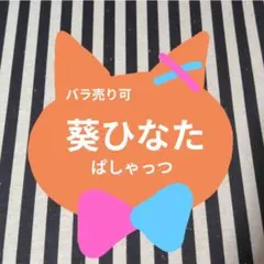 あんスタ 燐音 ぱしゃこれ ぱしゃっつ 中国 5周年 星幻 星燦 TRIP 星動 あんスタ 燐音 ぱしゃこれ ぱしゃっつ 中国 10周年 星幻 星燦 TRIP