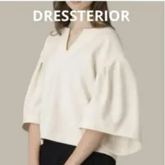 DRESSTERIOR 袖コンシャス　洗えるボリュームスリーブブラウスブラウスのサムネイル