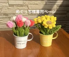 めぐっち様専用ページ　モールフラワー