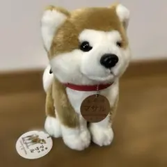 【美品　新品未使用】秋田犬保存会公認　秋田犬 マサル　Mサイズ
