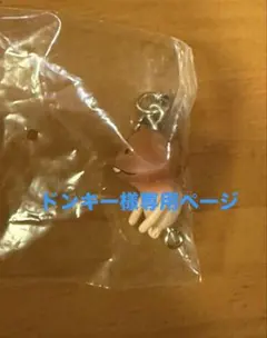 ドンキー様専用ページ