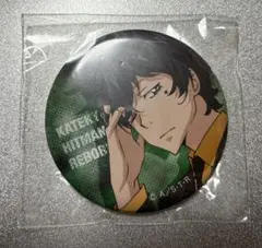 2026年最新】リボーン アニカプの人気アイテム - メルカリ