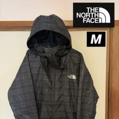【美品】 THE NORTH FACE マウンテンレインジャケット メンズLのサムネイル