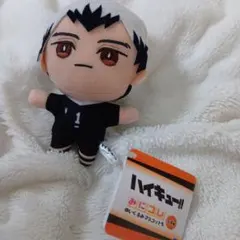 未使用値下げ///ハイキュー!! みにこれ ぬいぐるみマスコット 北信介