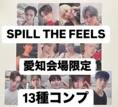 seventeen トレカ 愛知 会場限定 weverse 13種コンプ　STF