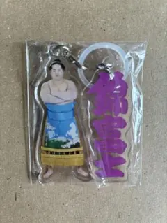 Item thumbnail for item f917dc6f-68db-4275-85ed-63ea7cb07eb8