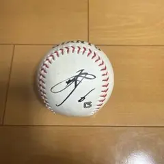 元西武ライオンズ 和田一浩 直筆サインボール - メルカリ