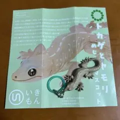 ネイチャーテクニカラー トカゲとヤモリめじるしマスコット ホオグロヤモリ