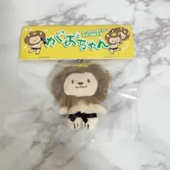 武知海青　メンプロ　がおちゃん