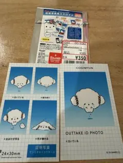 希少 ポチャッコ 1996年 写真立て フォトフレーム フォトスタンド 当時物 希少 ポチャッコ 1996年 写真立て フォトフレーム フォト