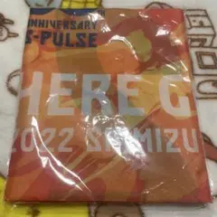 清水エスパルス 2022 30周年記念 サポーターズポンチョのサムネイル