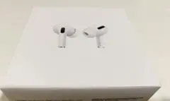 Apple AirPods Pro 本体(第一世代)