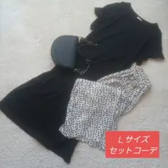 レディース　夏服　Ｌサイズ　セットコーデ　まとめ売り　黒　GU