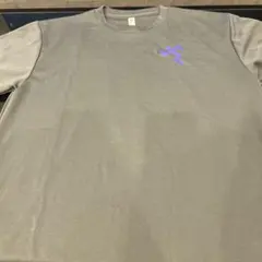 ANYTIME FITNESS エニタイムフィットネス Tシャツ グレー