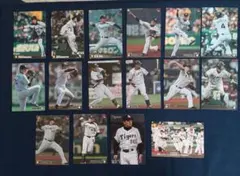 カルビープロ野球チップストレーディングカード　阪神タイガースセット
