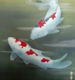 掛け軸/鯉/国井幸雪/二重箱 2025年最新】幸雪 鯉の人気アイテム - メルカリ