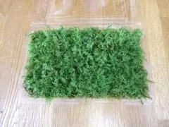 いおり　プロフィール必読様 リクエスト 2点 まとめ商品