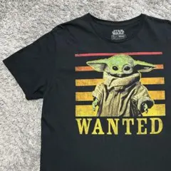 スターウォーズ　ザ・チャイルド　グローグー　ベビーヨーダ　star wars