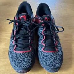 Nike KD Trey 5 X バスケットボールシューズ US10サイズのサムネイル
