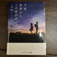 今夜、世界からこの恋が消えても