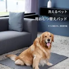 洗えるペット用 トイレマット 丸洗い 犬 猫 おしっこパッド 吸水性 グレー