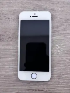 [ジャンク]本体のみ iPhone 5s simなし