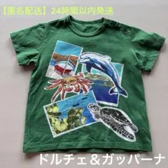 Dolce & Gabbana ドルガバ　ベビーTシャツ 綿100% サイズ90のサムネイル