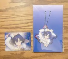 2026年最新】stpr card アクキーの人気アイテム - メルカリ