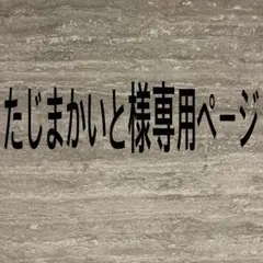 【希少カラー/美品】THE NORTH FACE マウンテンパーカー　ハイベント