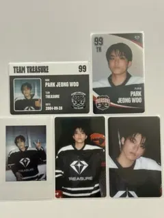 TREASURE PARK JEONG WOO トレカセット