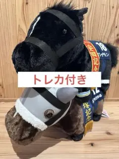 サラコレ　ソングライン メイショウタバルのサムネイル
