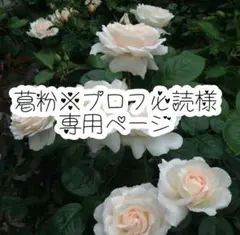 葛粉※プロフ必読様専用ページ