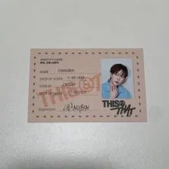 THIS & THAT 封入 チャンビン