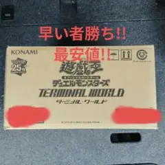 遊戯王 ターミナル・ワールド 18BOX 未開封新品 シュリンク付き ターミナルワールド2 TERMINAL WORLD2 BOX 遊戯王OCG デュエル