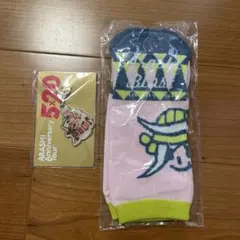 嵐 BLast in Miyagi 靴下