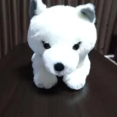 最終値下げ！ホッキョクギツネ ぬいぐるみXL プレミアムのサムネイル