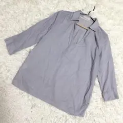 any sis✨美品　スキッパーシャツ　襟付きuネック　ストライプ　ブルー（M）
