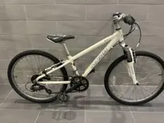 引き取りできる方。LOUIS GARNEAU Five 29 ルイガノ - メルカリ