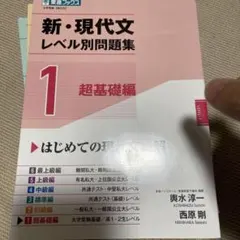 新・現代文 レベル別問題集 セット