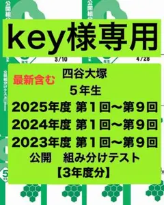 key様専用⭐️⭐️四谷大塚　5年生　組分けテスト　3年分　過去問セット
