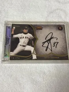 直筆 スポーツカード