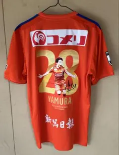 アルビレックス新潟　神ユニ　矢村健　Lサイズのサムネイル