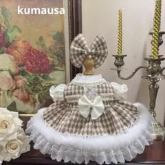 番号2488