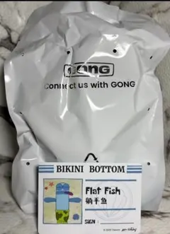 ビキニボトムバディーズ　正規品 Flat Fish